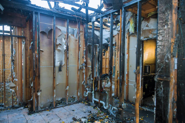 Professional Fire Damage Repair technician working in Henderson, GA